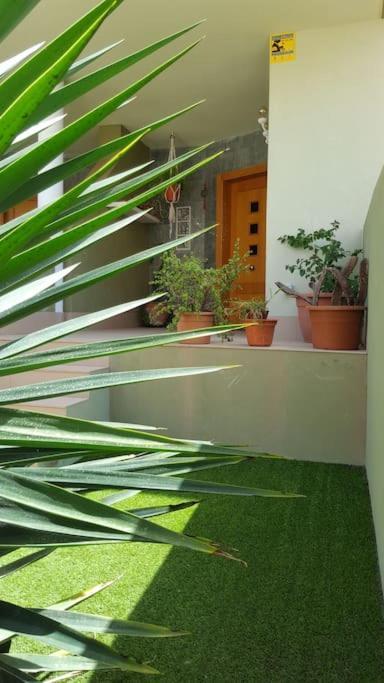 Atlantic Star - Duplex With Ocean Views Apartment Puerto del Rosario  Exterior photo